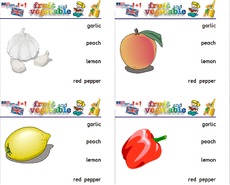 Holzcomputer fruit-vegetable 02.pdf